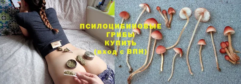 кракен ONION  как найти закладки  Мурино  Псилоцибиновые грибы MAGIC MUSHROOMS 